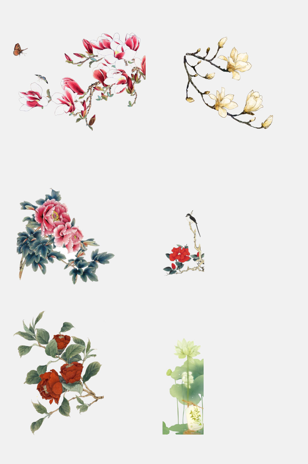 花卉工笔画鲜花花卉免抠元素素材
