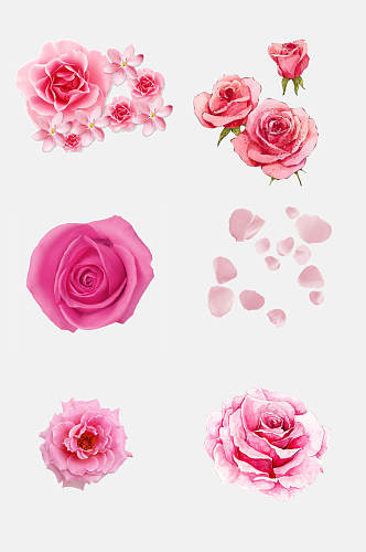 粉色花朵花瓣情人节玫瑰花免抠元素