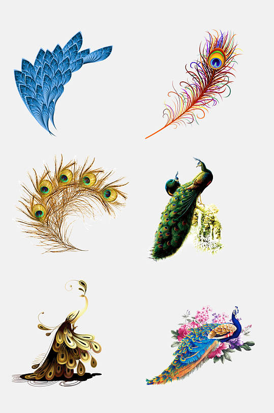 孔雀羽毛唯美大气孔雀免抠元素