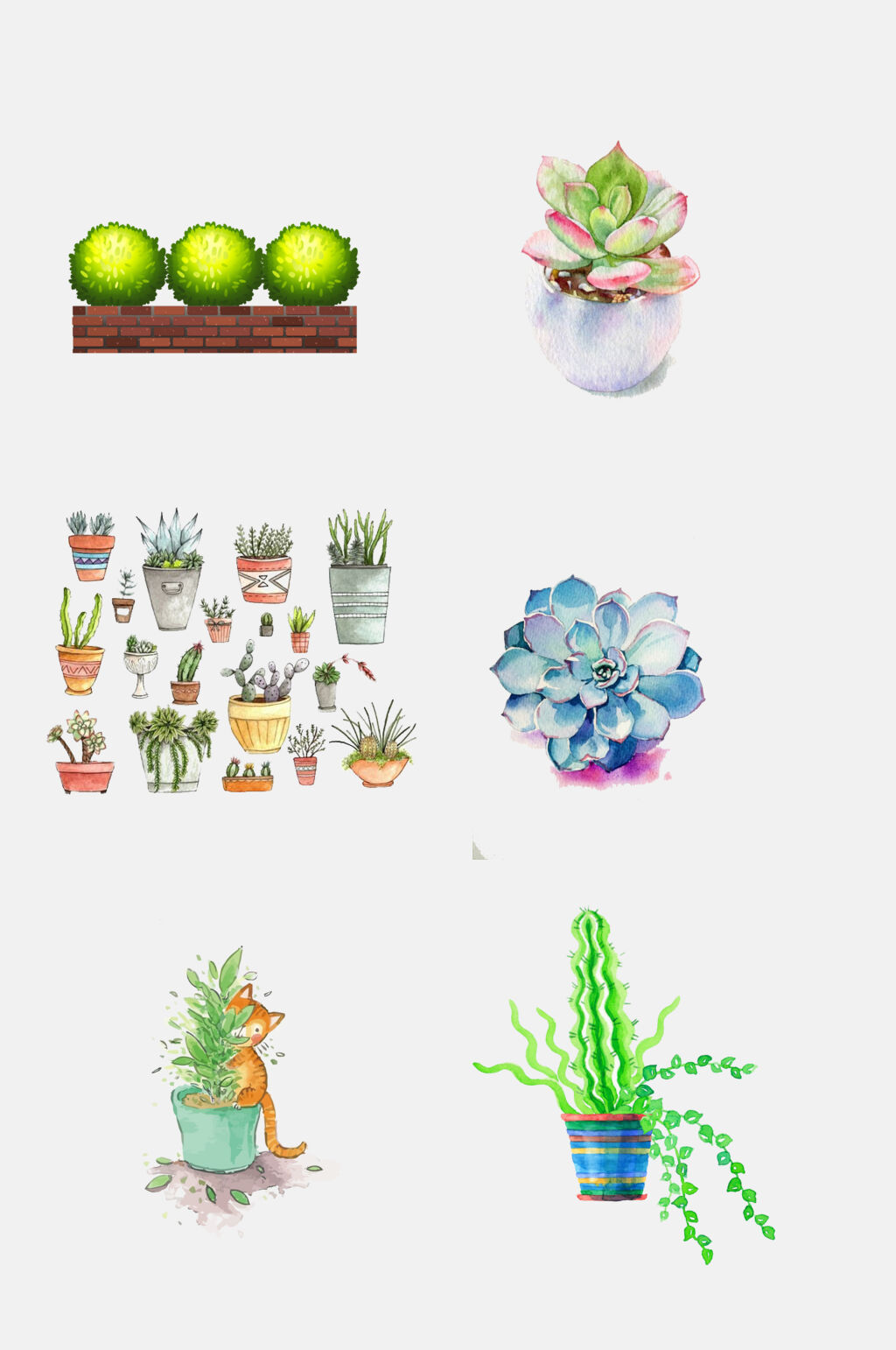 水彩唯美花卉仙人球多肉盆栽植物免抠元素素材