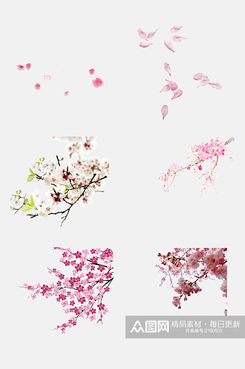 春季粉色花瓣桃花樱花荷花莲花免抠元素素材