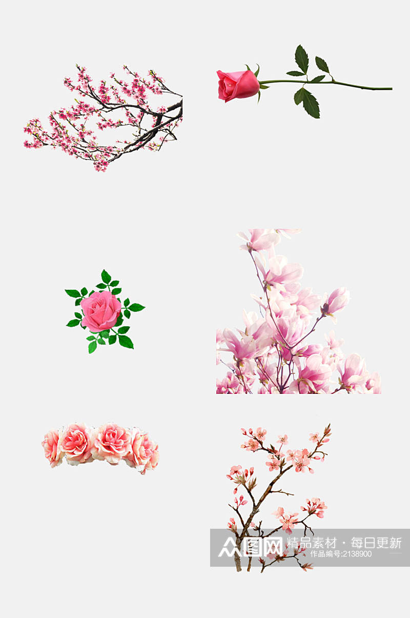 粉色花卉情人节玫瑰花免抠元素素材