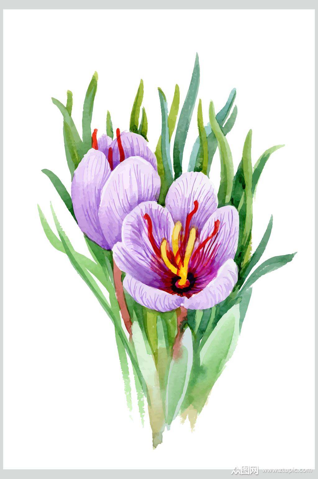 清新简洁水彩花卉矢量素材