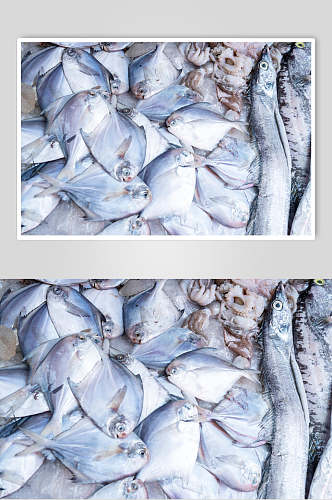 生鲜海鲜餐饮食材图片