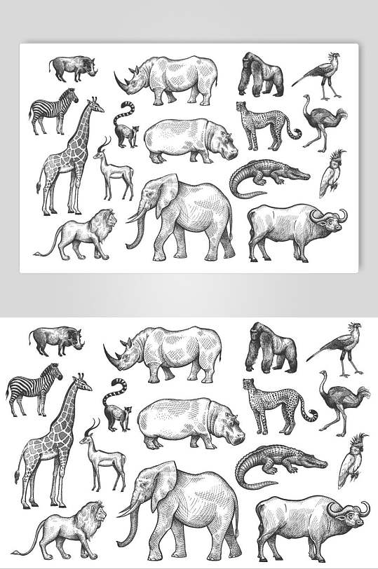 线描素描动物矢量插画素材