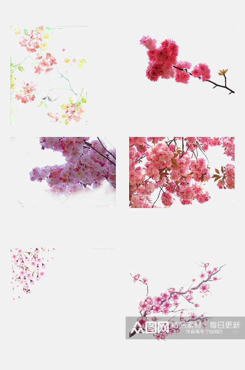 春季粉色桃花树枝荷花莲花免抠元素素材