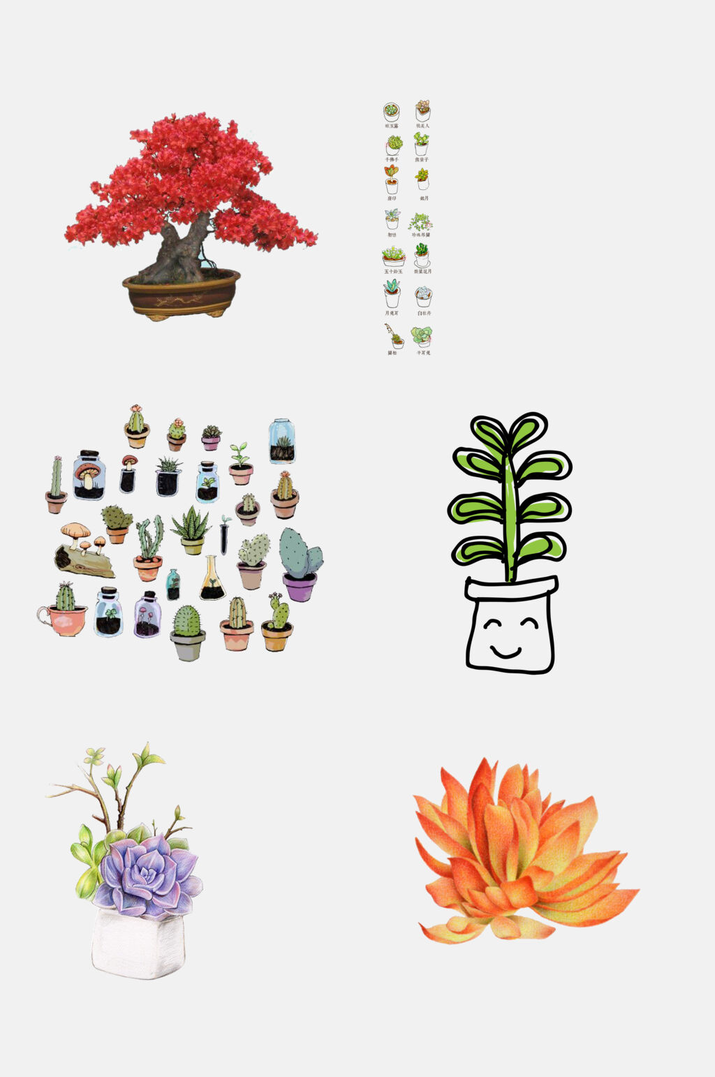 手绘多肉盆栽植物免抠元素素材