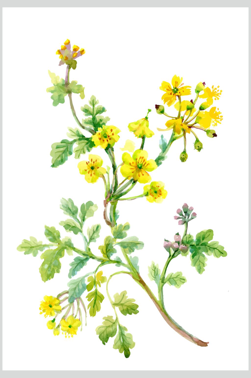大气淡雅水彩花卉矢量素材素材
