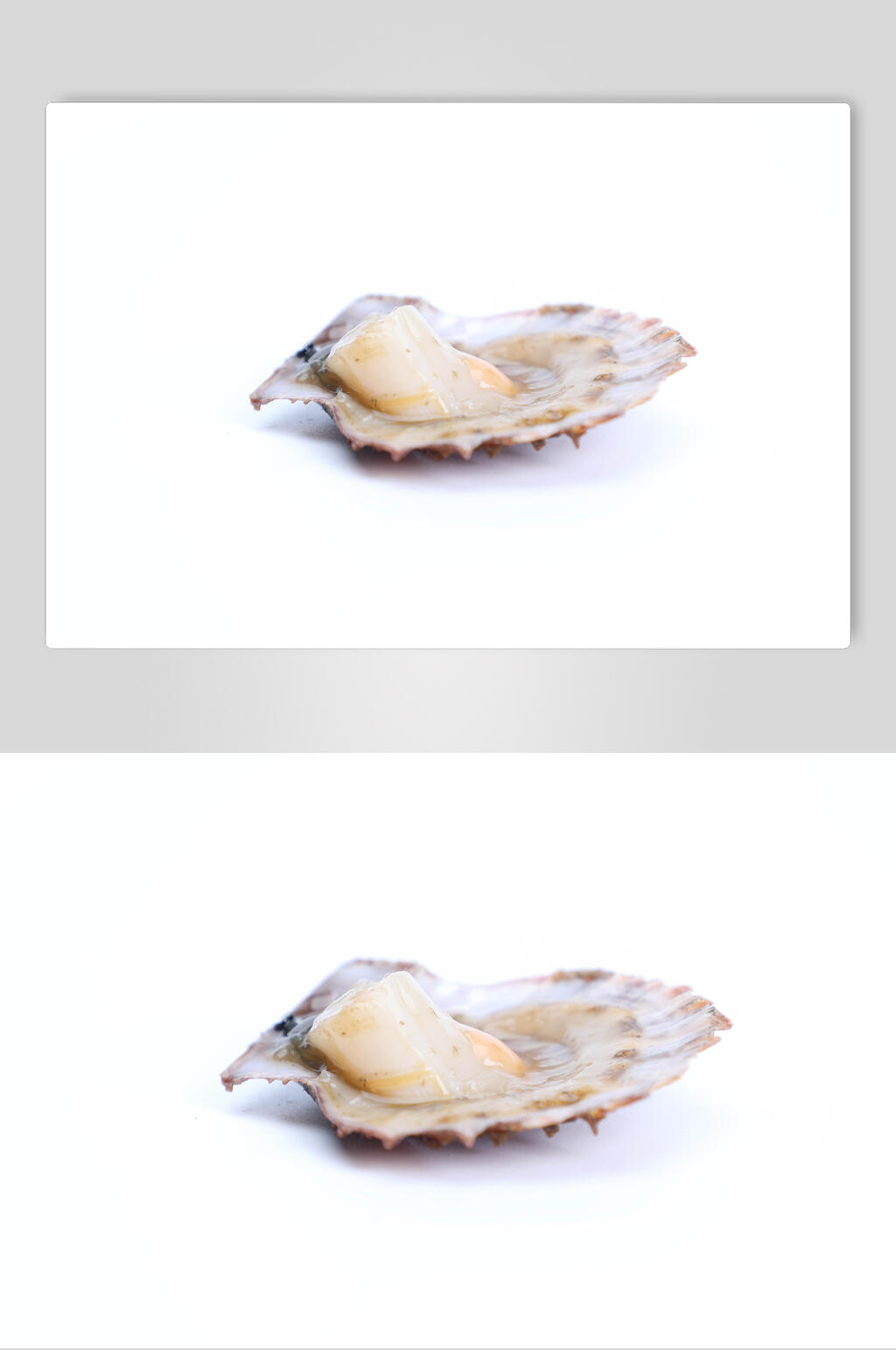 美味生蚝海鲜餐饮图片素材