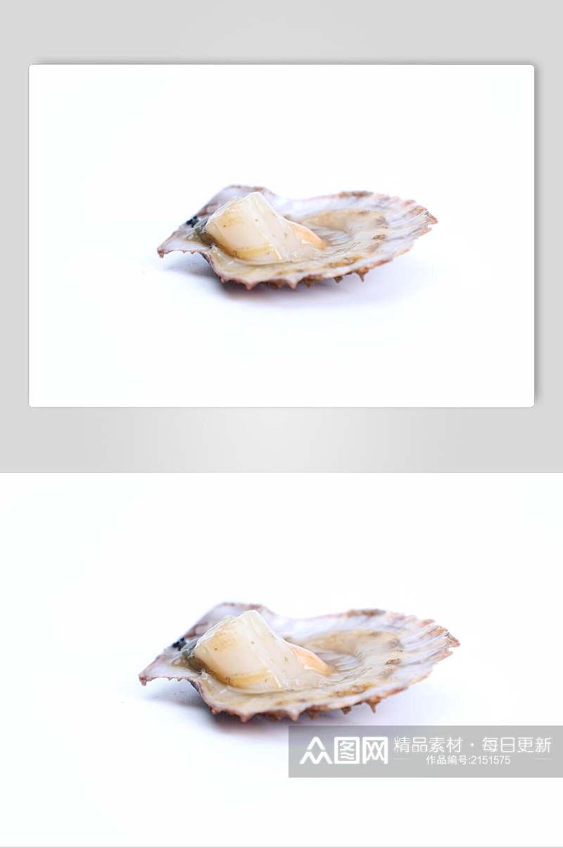美味生蚝海鲜餐饮图片素材