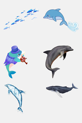水彩海豚免抠元素