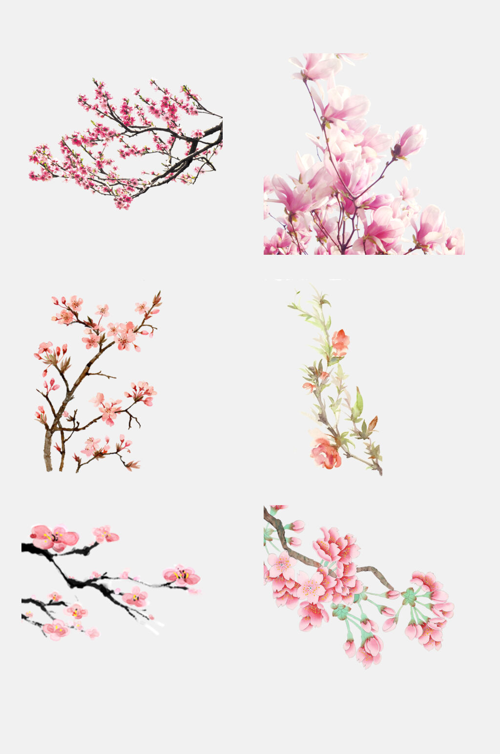 粉色唯美桃花樱花荷花莲花免抠元素素材