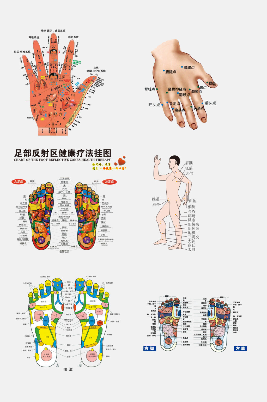 炫彩高端中医人体经络穴位图素材素材