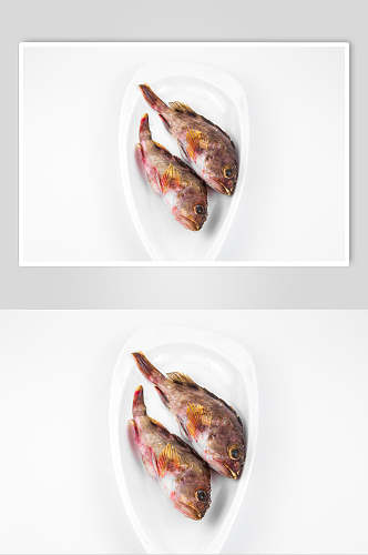 斑鱼海鲜餐饮图片