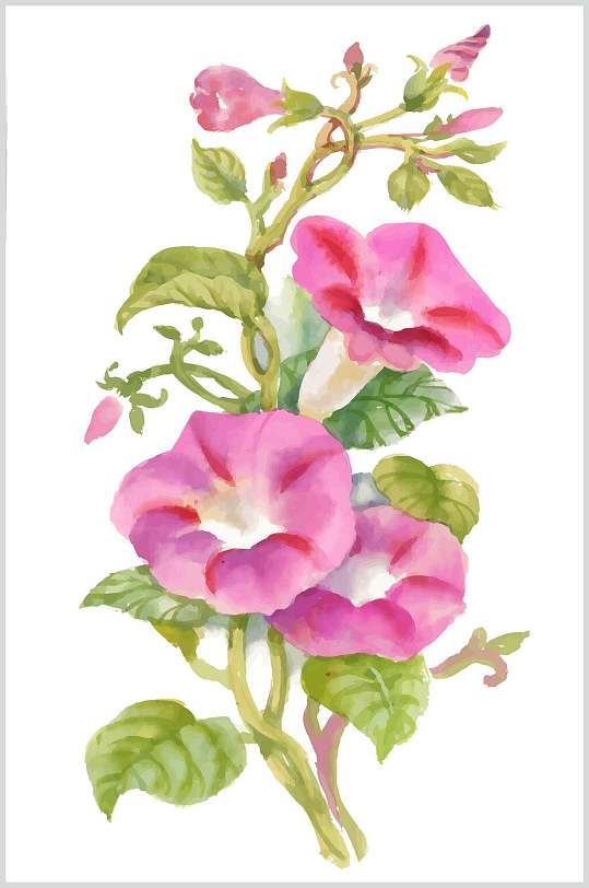 唯美牵牛花水彩花卉矢量素材