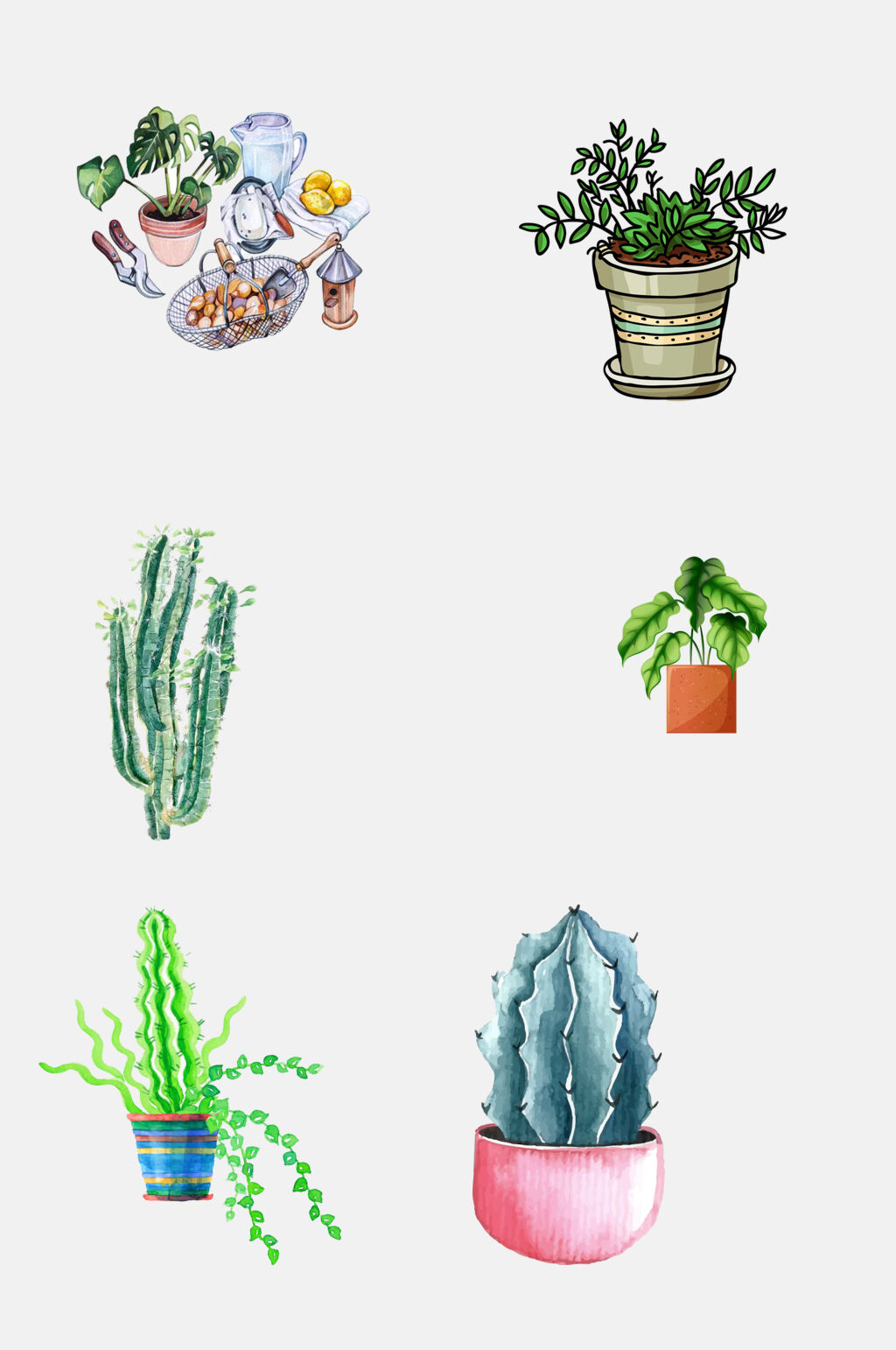 花卉多肉盆栽植物免抠元素素材