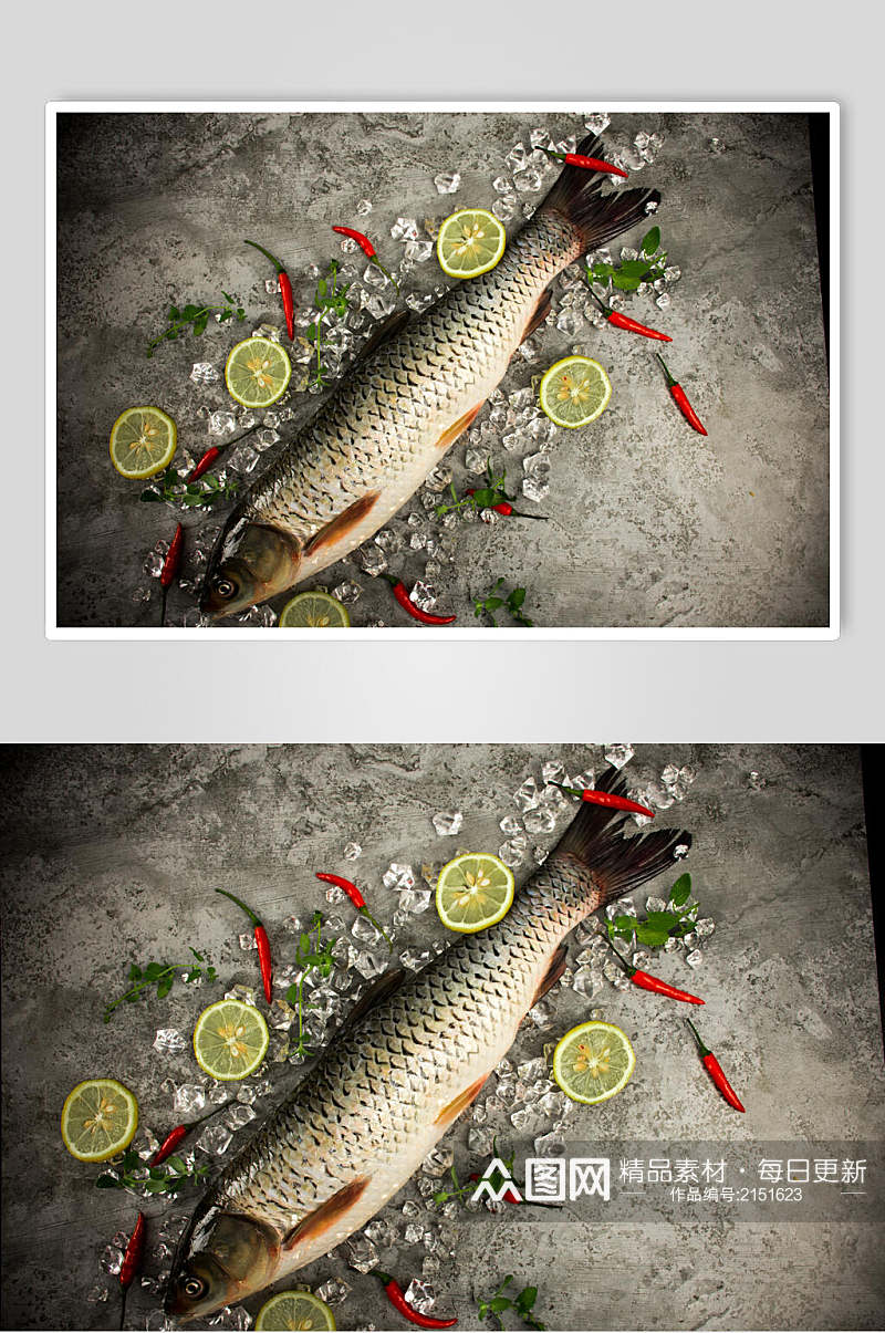 草鱼海鲜餐饮图片素材