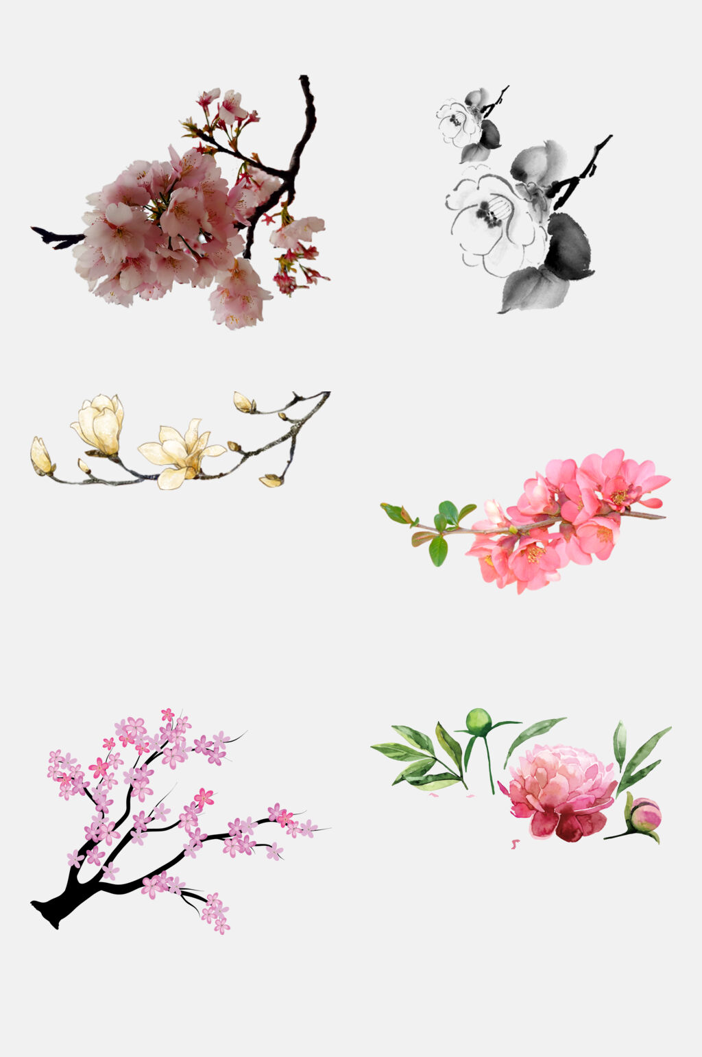清新手绘桃花荷花莲花免抠元素素材