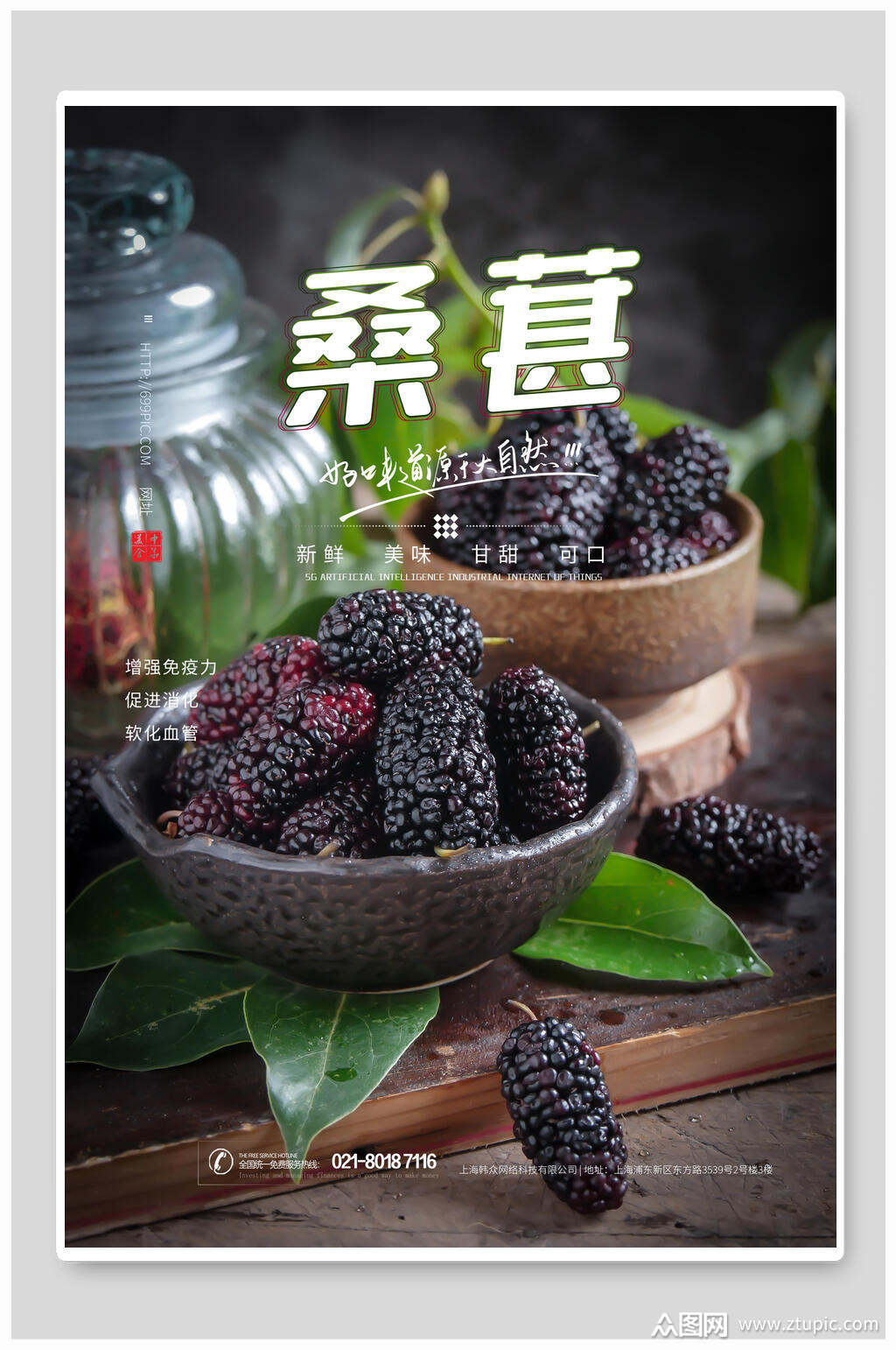 桑葚水果宣传海报