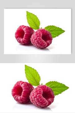 品质树莓食品实拍图片