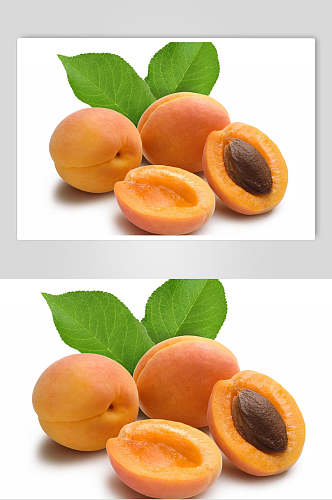 黄杏美食摄影图片