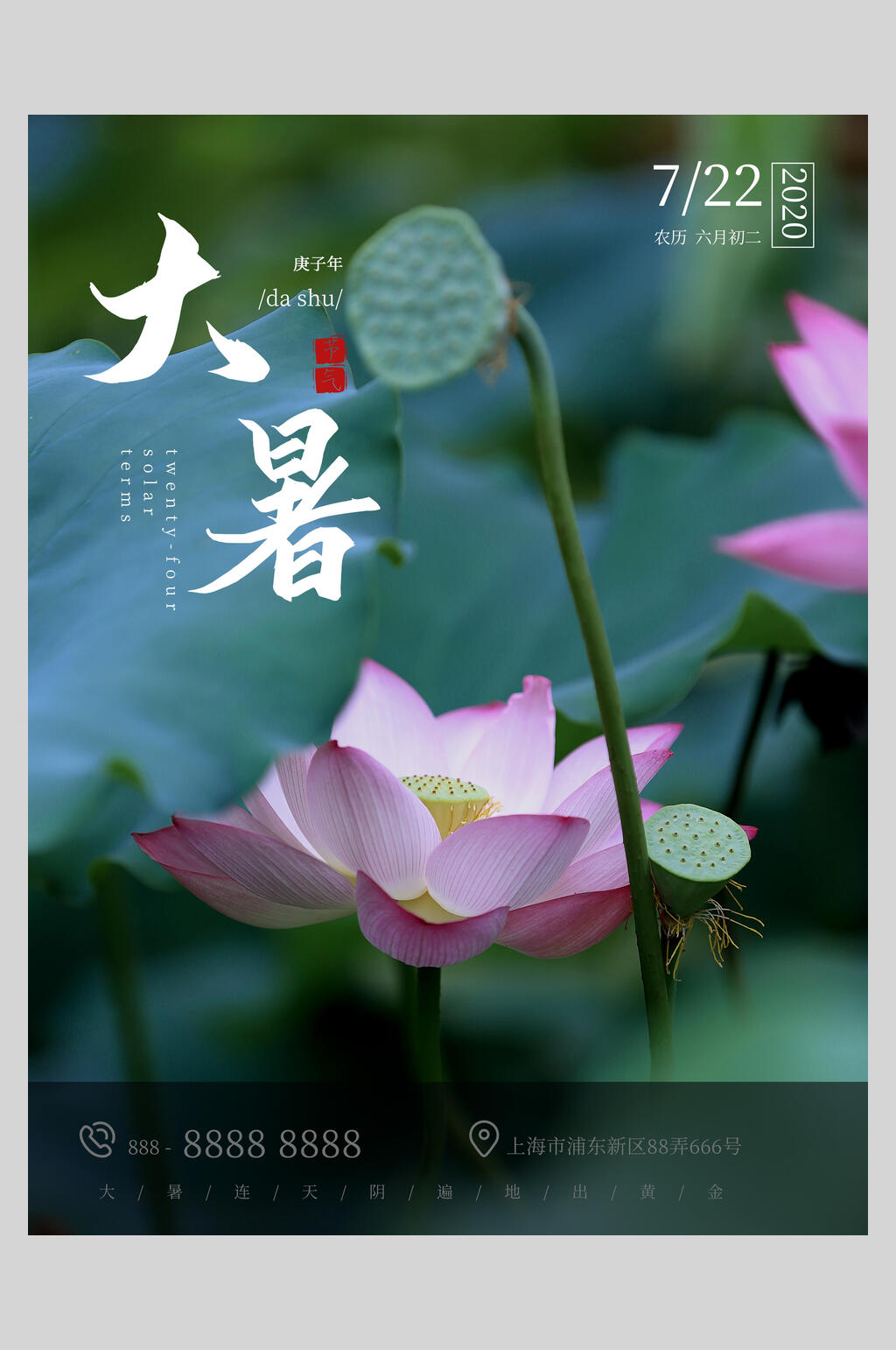 大气荷花大暑海报素材