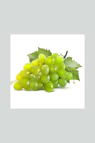绿葡萄美食摄影图片