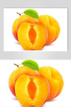水果杏食品摄影图片