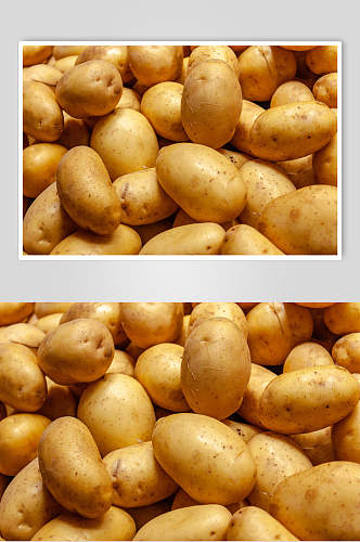 土豆有机蔬菜图片