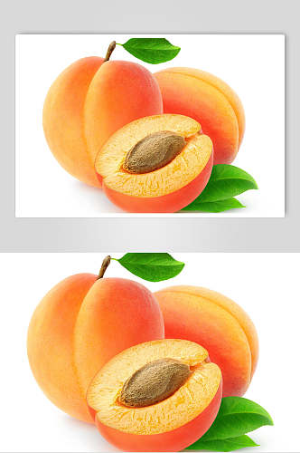 新鲜黄杏美食摄影图片