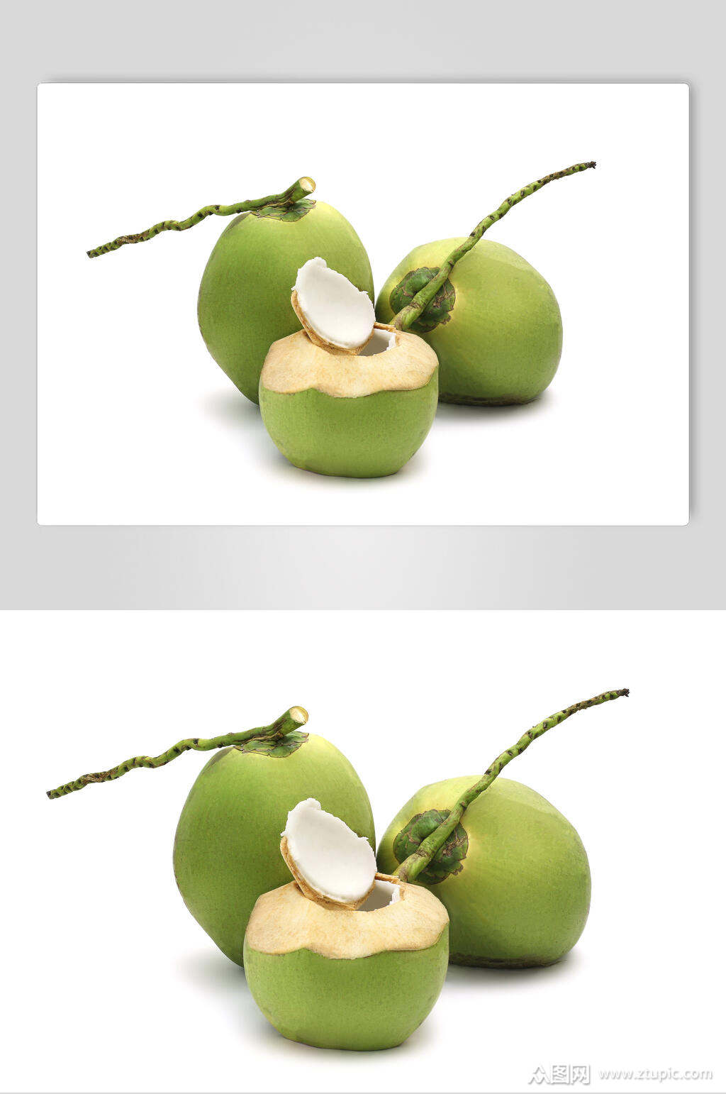 青椰子食品摄影图片素材