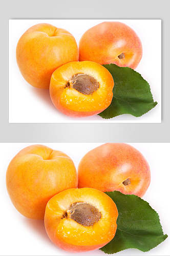 精品黄杏美食摄影图片