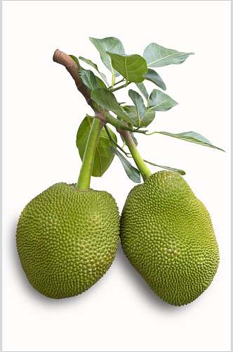 绿色菠萝蜜水果食品图片