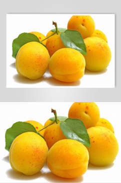 金黄杏食品摄影图片