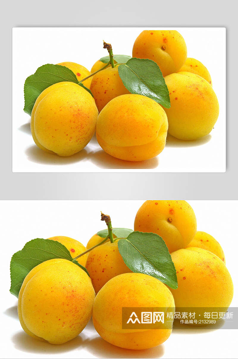 金黄杏食品摄影图片素材