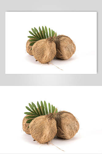 新鲜美味椰子水果图片