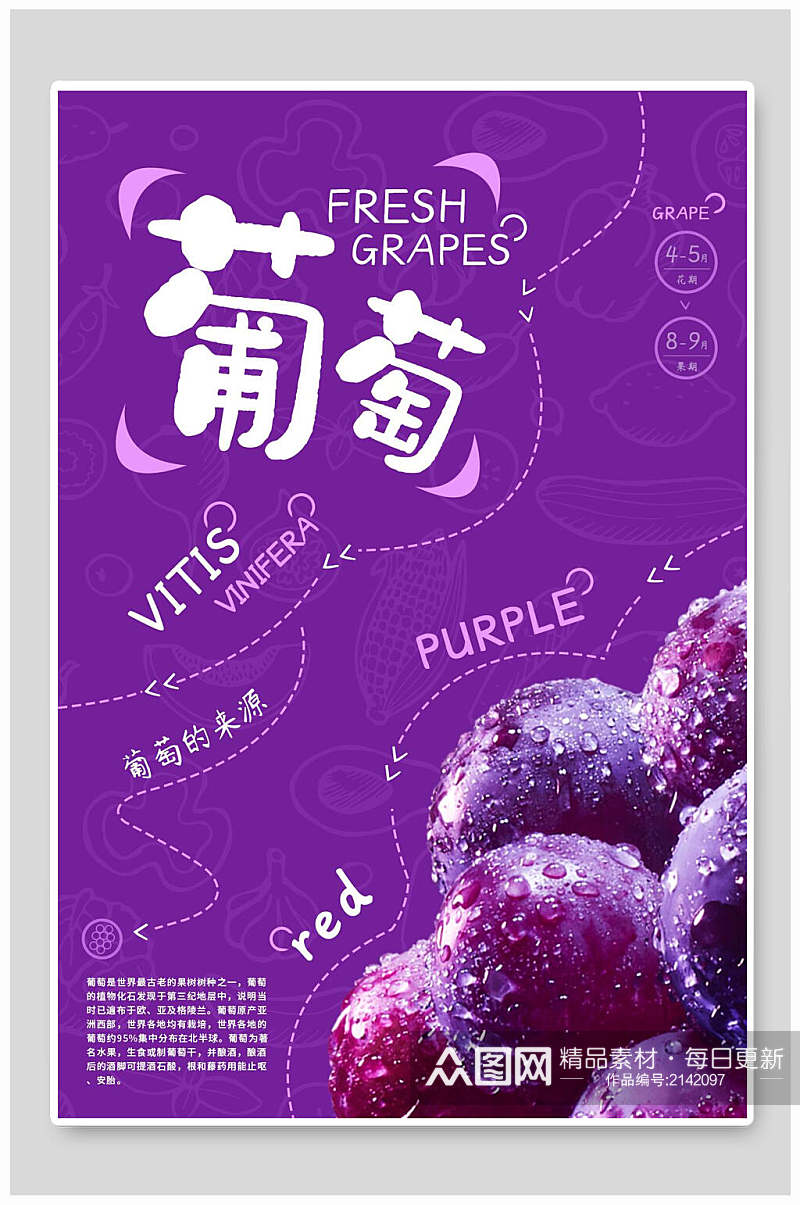 紫色葡萄水果海报素材
