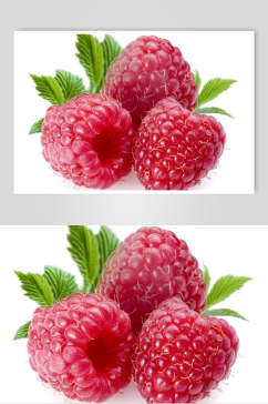 树莓食品特写实拍图片