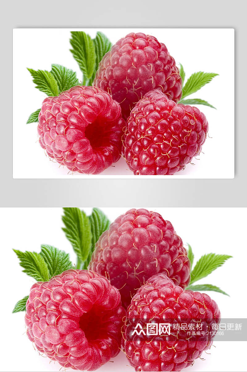 树莓食品特写实拍图片素材