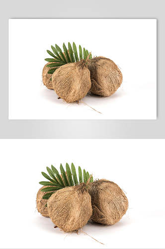 新鲜品质椰子食品摄影图片