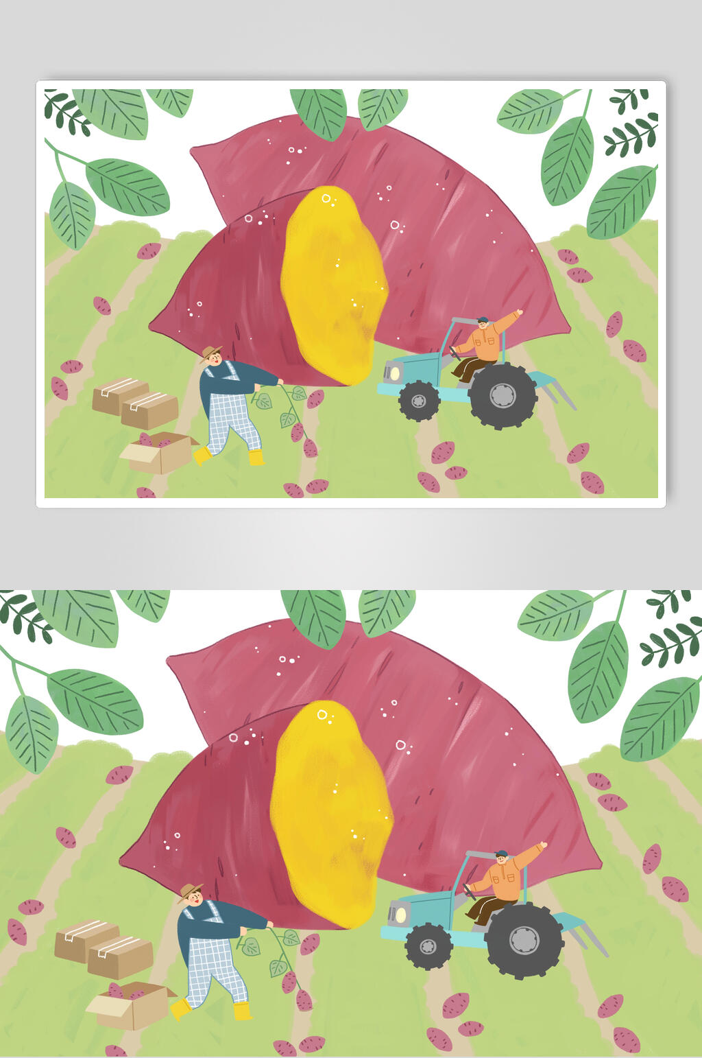 红薯夏季水果插画素材素材