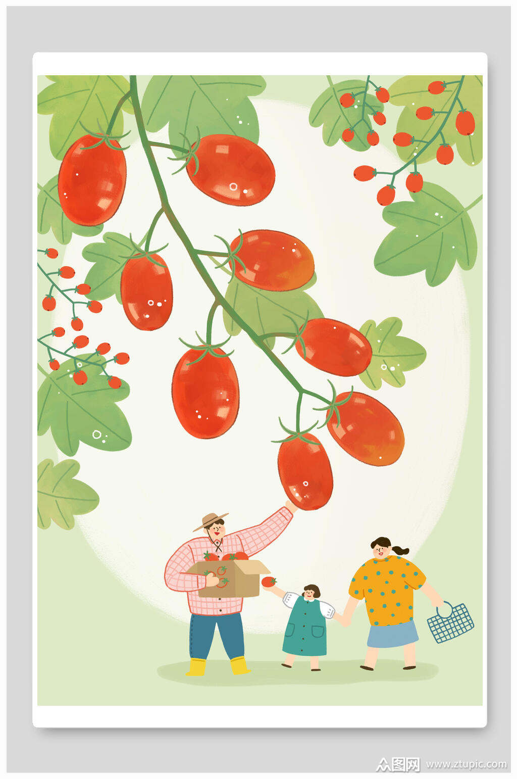 圣女果夏季插画素材素材