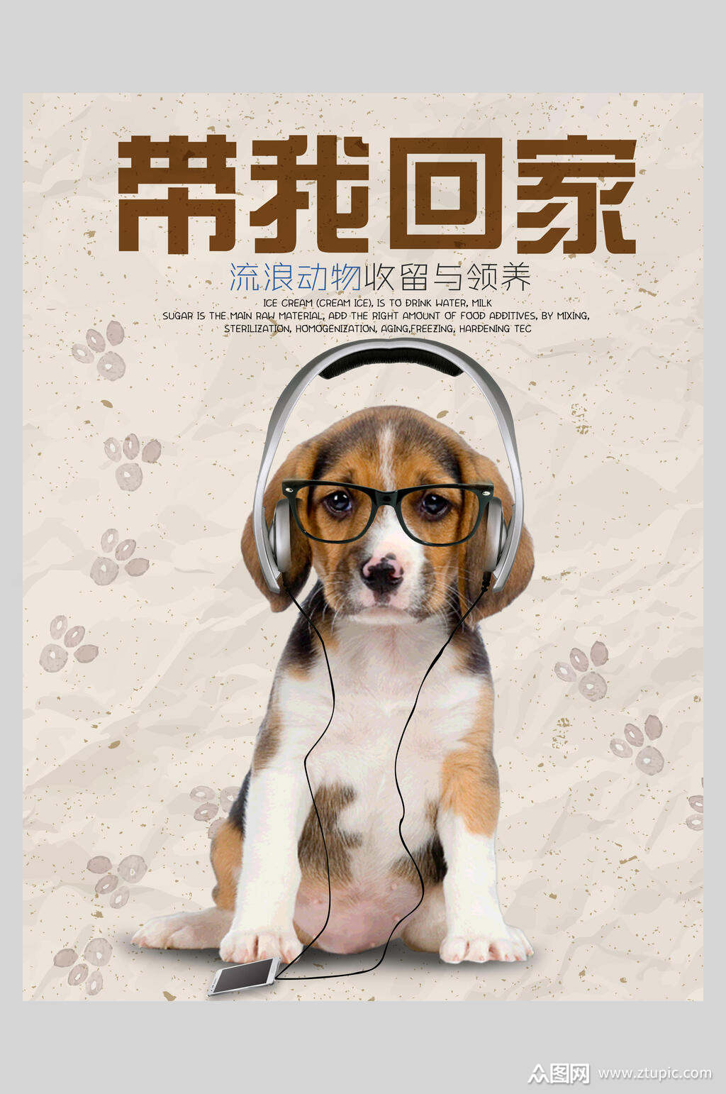 带我回家萌宠海报