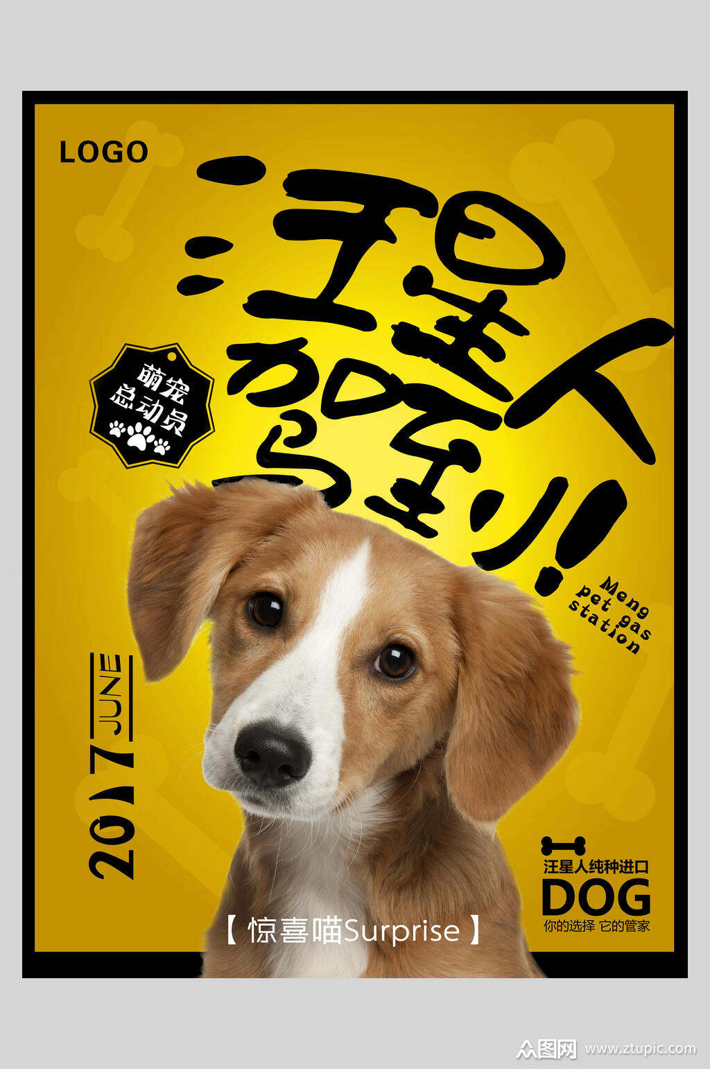 汪星人驾到萌宠海报