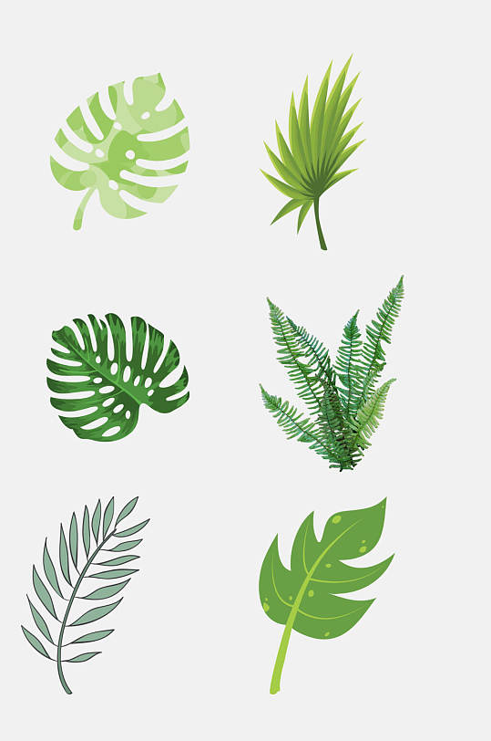 优美绿植热带植物叶子免抠元素