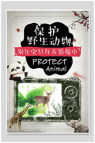 手绘相机保护野生动物海报