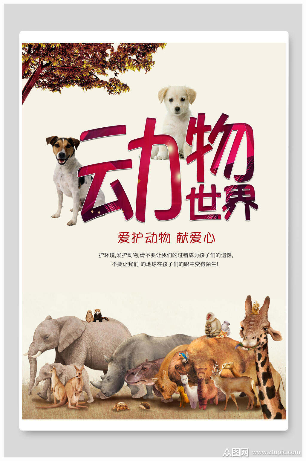 动物世界保护野生动物海报