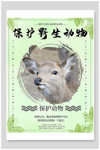 绿色自然保护野生动物海报