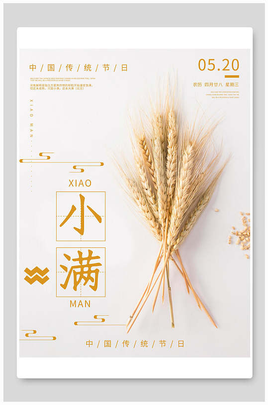 中国传统节日小满节气插画海报