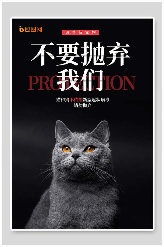 大气精美不要抛弃我们保护野生动物海报